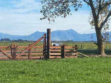 280 Tinwald Westerfield Mayfield Road_1