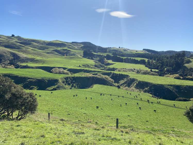 48 Heathfield Road Waipara_17