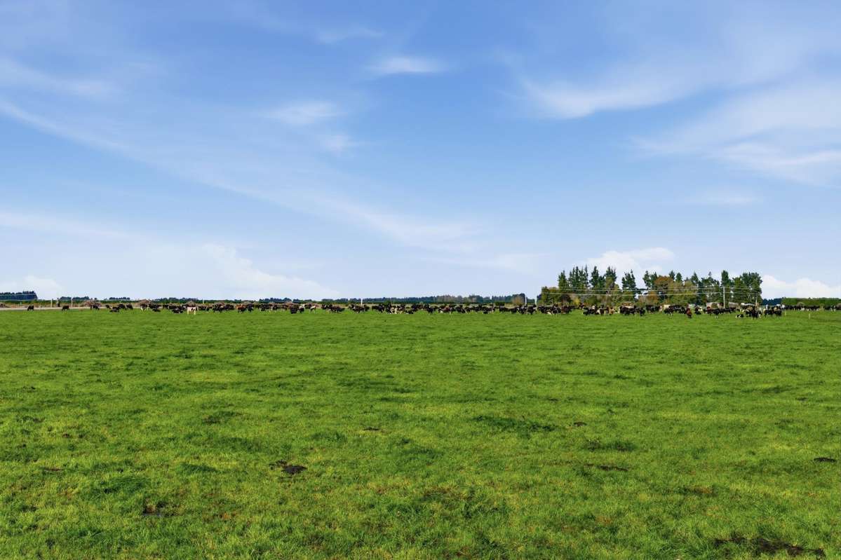 357 Woodstock Road_1