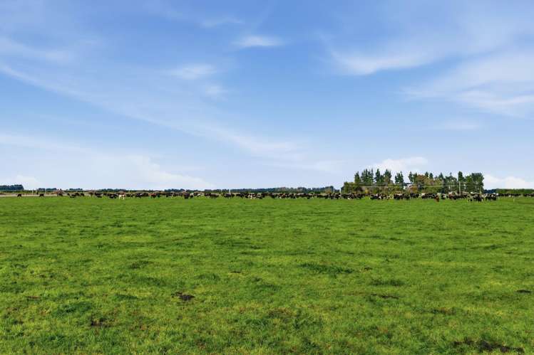 357 Woodstock Road Oxford_5