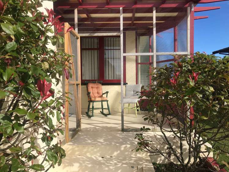 31 Mill Street Marton_19