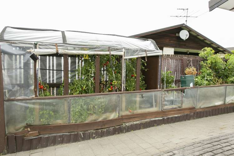 36 Peter Street Ashburton_17