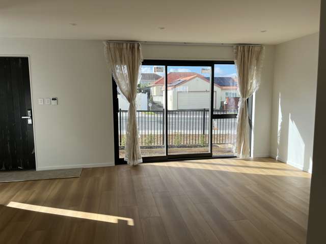 7B Penney Ave Mount Roskill_2