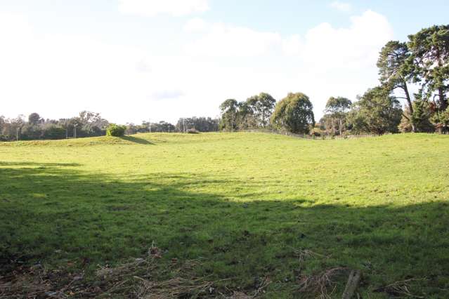 16 Buxton Road Westmere_1