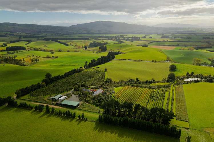 185 Sinclair Road Cheviot_32