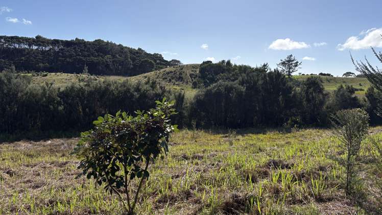 Lot 8 4815 State Highway 1 Houhora_25
