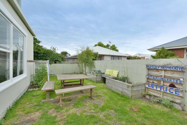 41 Fingall Street South Dunedin_1