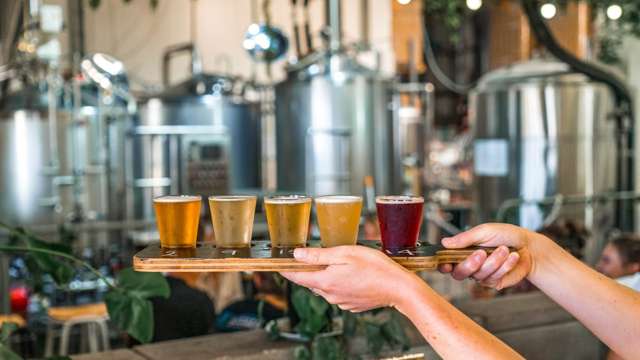 Off-Licence Brewery for Sale - Avondale, Auckland