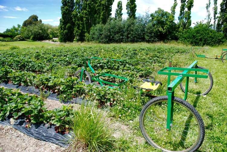 134 Timaru Road Waimate_12