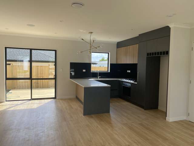 16 Perkins Street Papakura_3