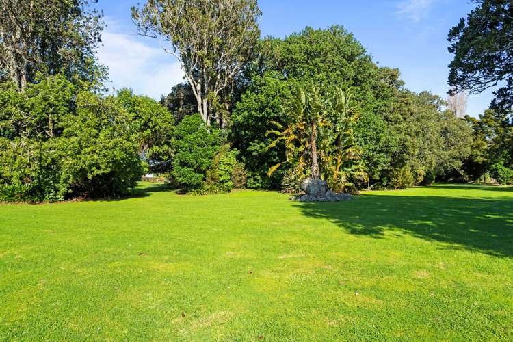 56 Forest View Road Kamo_24