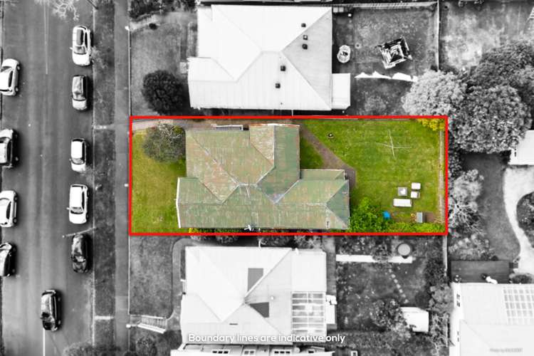 29 Allen Road Grey Lynn_15