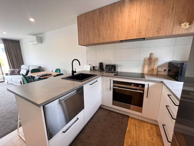 336a Lyttelton Street Spreydon_2