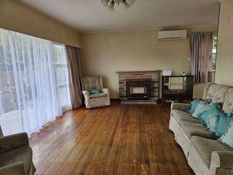 6 Nelson Street Levin_5