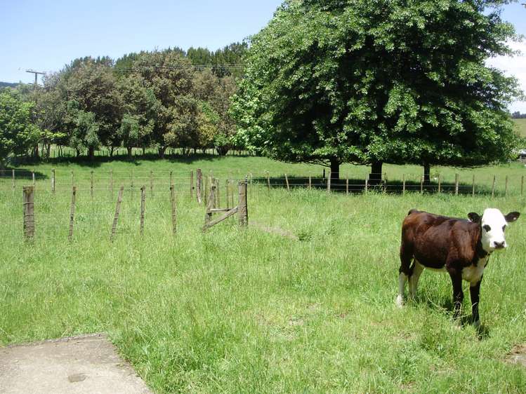 26 Liddell Road Whangamata_14