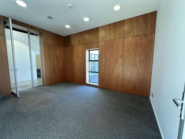 2 Dilworth Ave Remuera_6