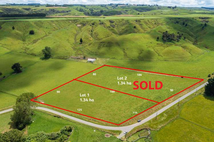 Lot 1 Beaconsfield Valley Road Waituna West_6