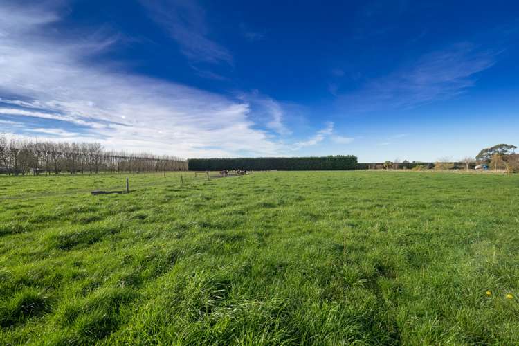 400 Racecourse Road Allenton_18