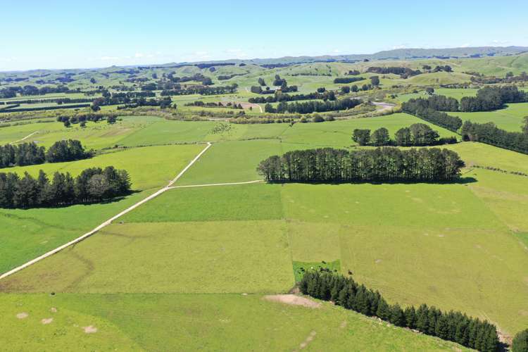 339 Mangaroa Road Eketahuna_8