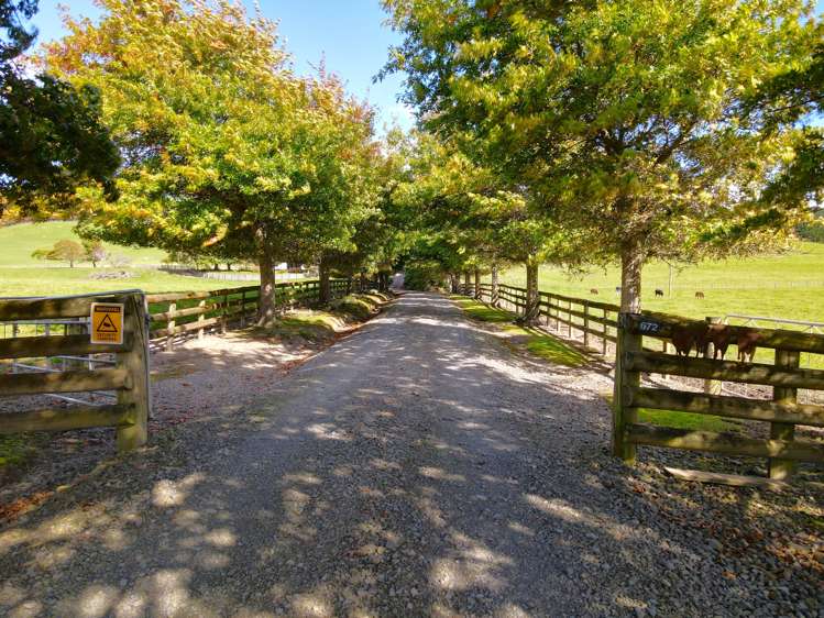672 Weber Road Dannevirke_6