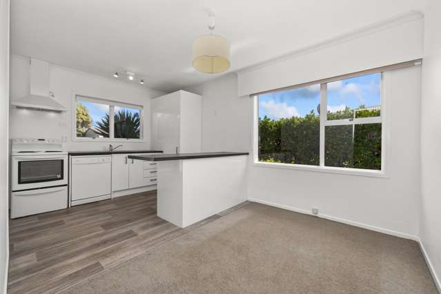 12 Vogel Street Levin_3