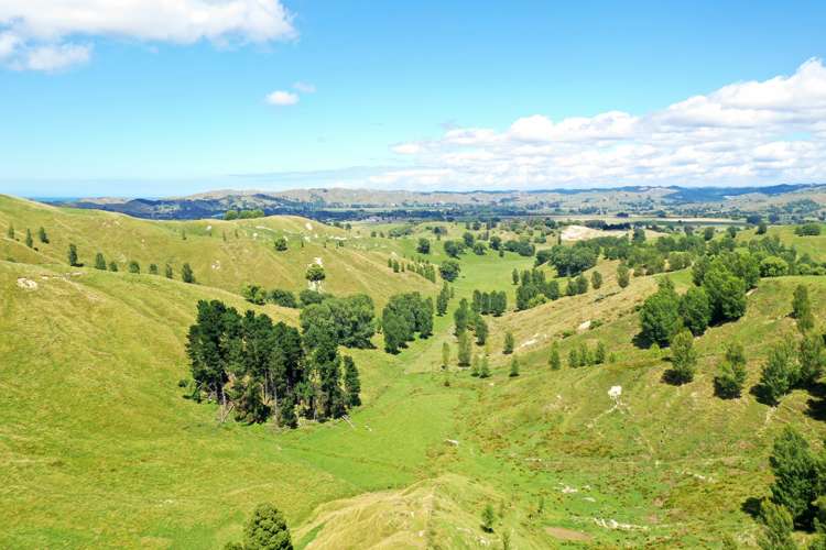 174 Clydebank Road Wairoa_13