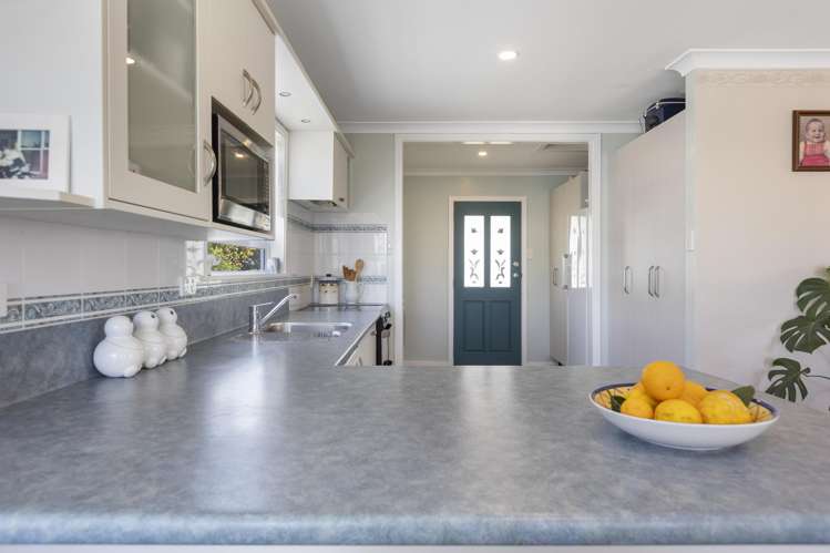 8 Raleigh Street Vogeltown_18