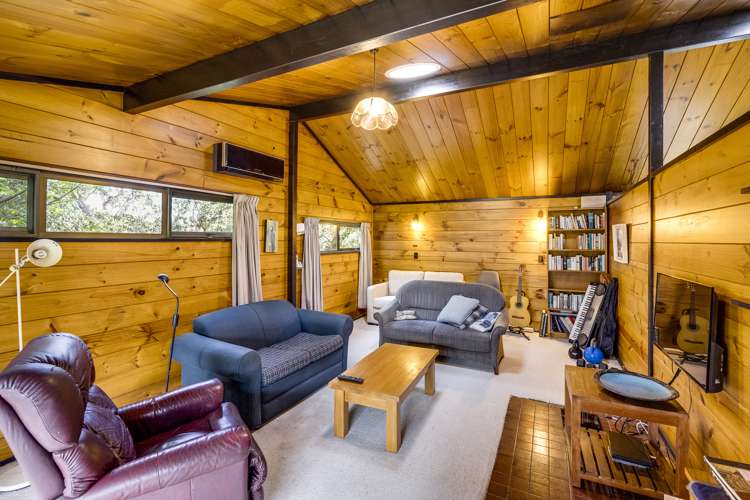 47 Plunket Street Tamatea_14