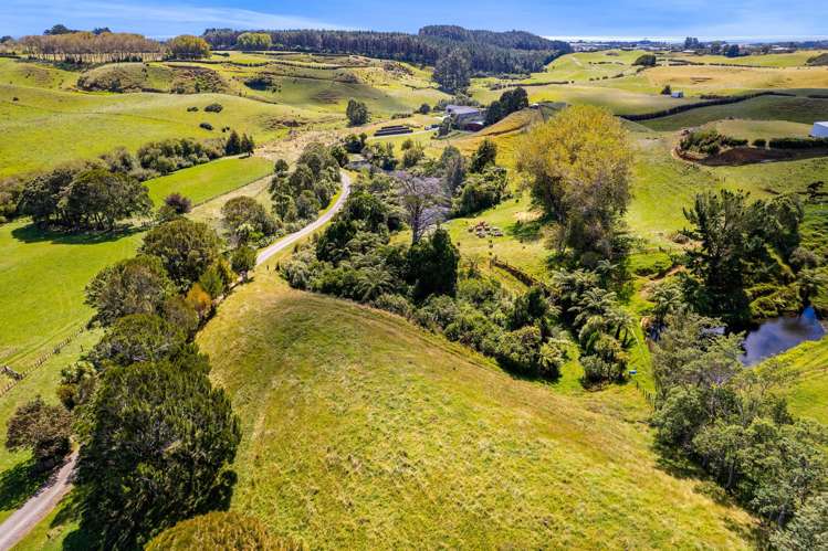 77c Dorset Road Hillsborough_31