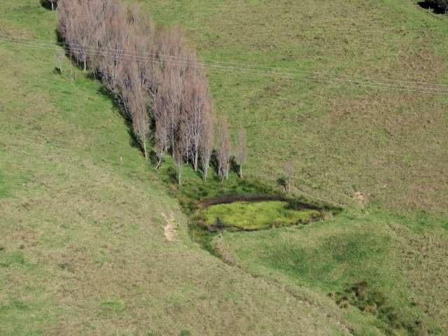 277 Quarry Road Awanui_4
