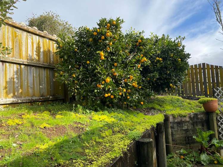 1b Liverpool Street Tuakau_5