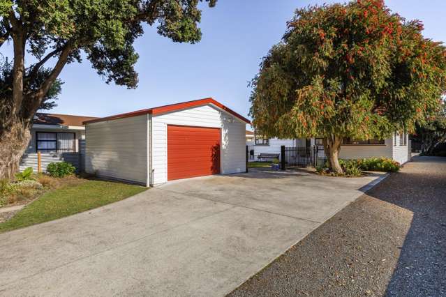 66 Douglas McLean Avenue Marewa_1