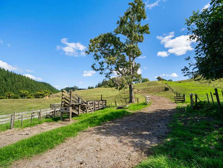 372f Wairoa Road Wairoa_39