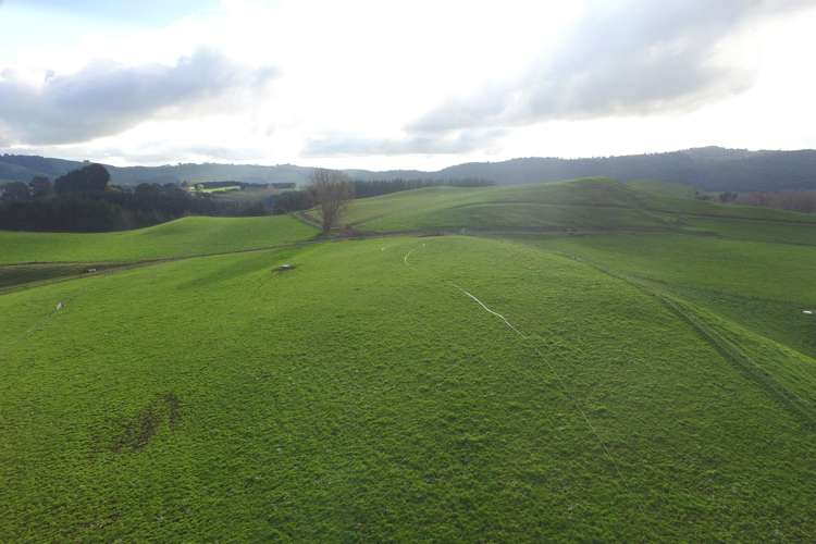 553 Buckland Road Matamata_12