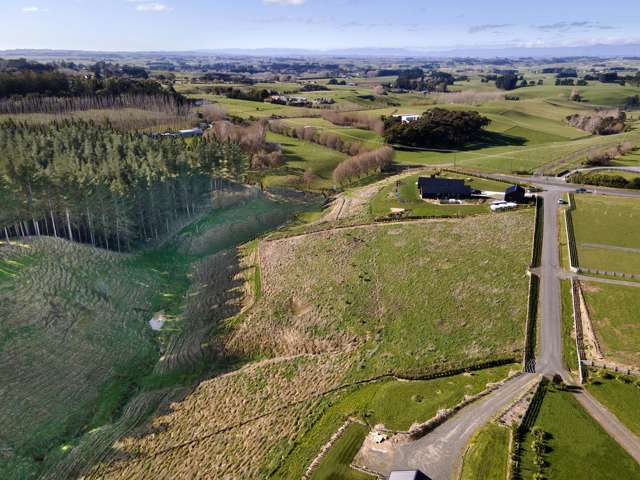 356 Mount Biggs Road Halcombe_1