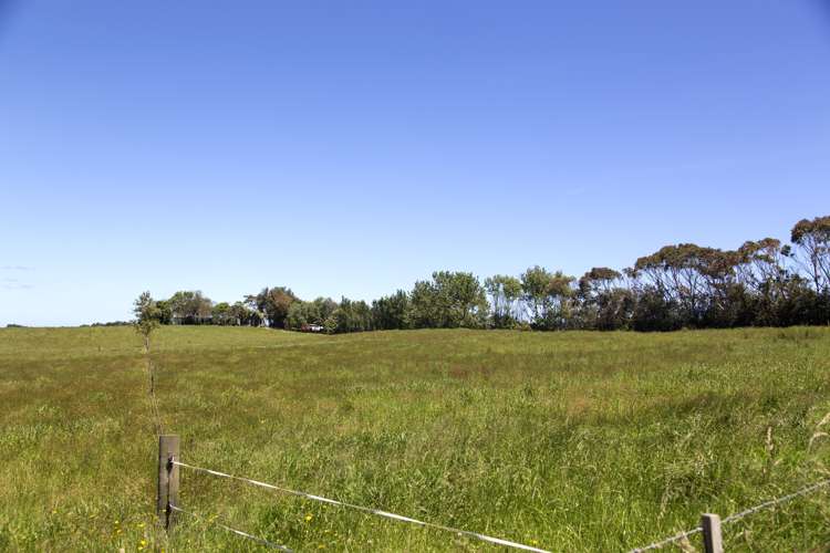 233 Tatarariki Spur Road Te Kopuru_20