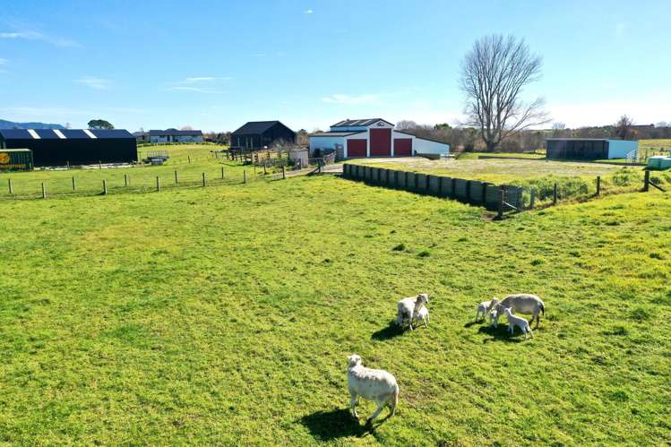 1110 Thornton Road Matata_16