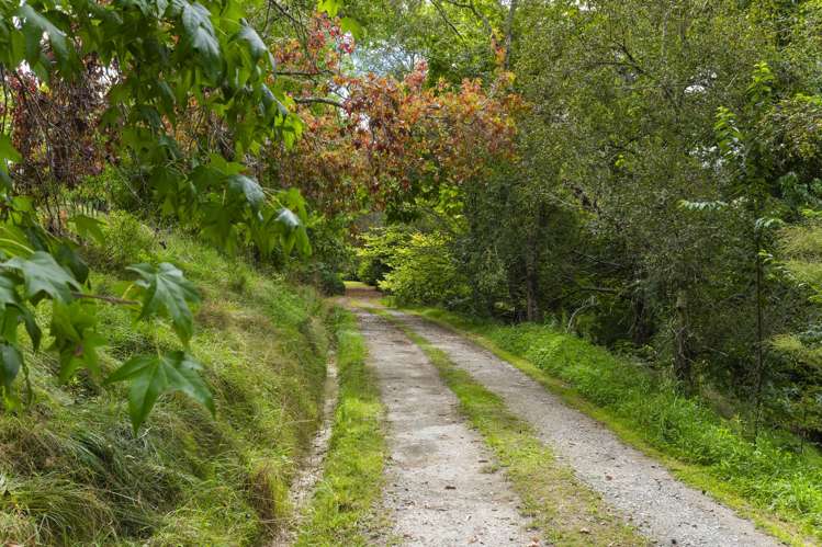 717 Totangi Road Ngatapa_21