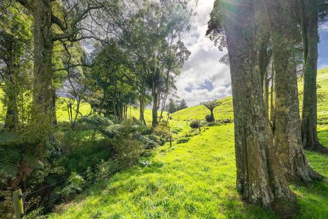 554 Maungatawhiri Road (bare block) Raglan_4