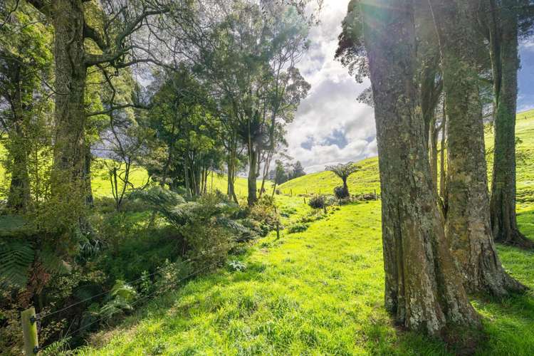 554 Maungatawhiri Road (bare block) Raglan_4