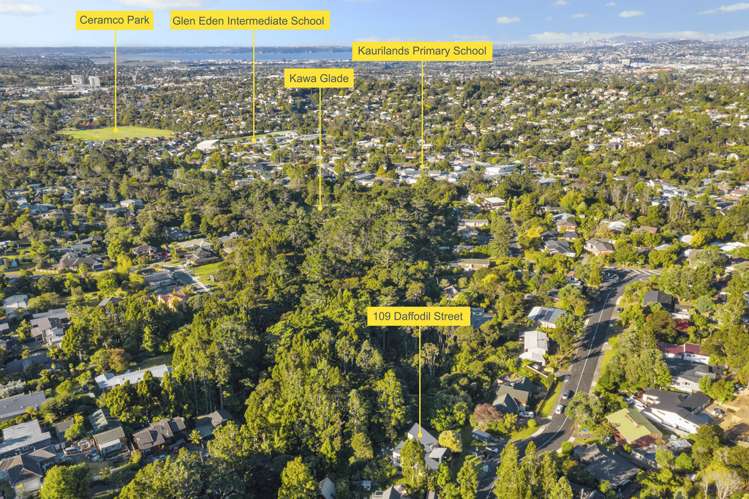 109 Daffodil Street Titirangi_17