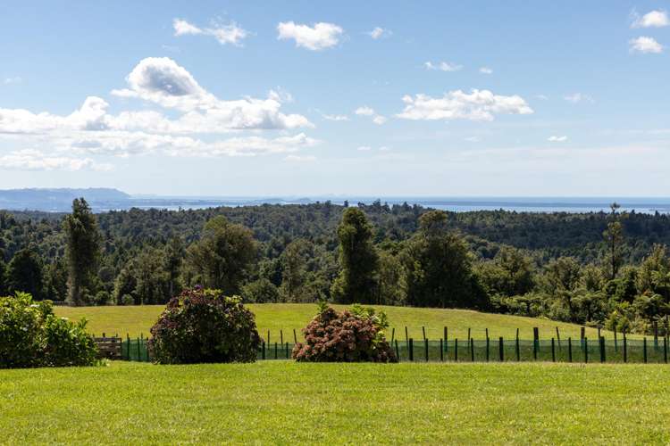 Address withheld Whakamarama_15
