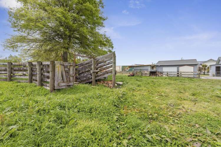 812 Roto O Rangi Road Cambridge_15