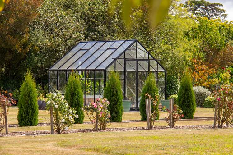 174 Loop Line Opaki_21