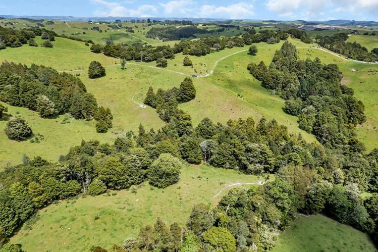 123 Homackey Road Matakohe_26