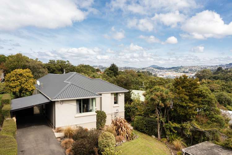 50 Every Street Andersons Bay_40