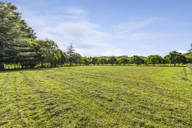 Build New Among Mature Trees