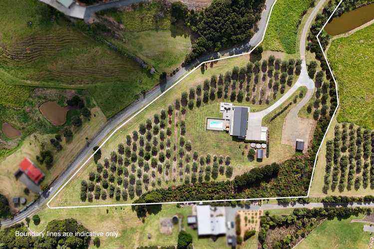 446 King Road Mangawhai_26