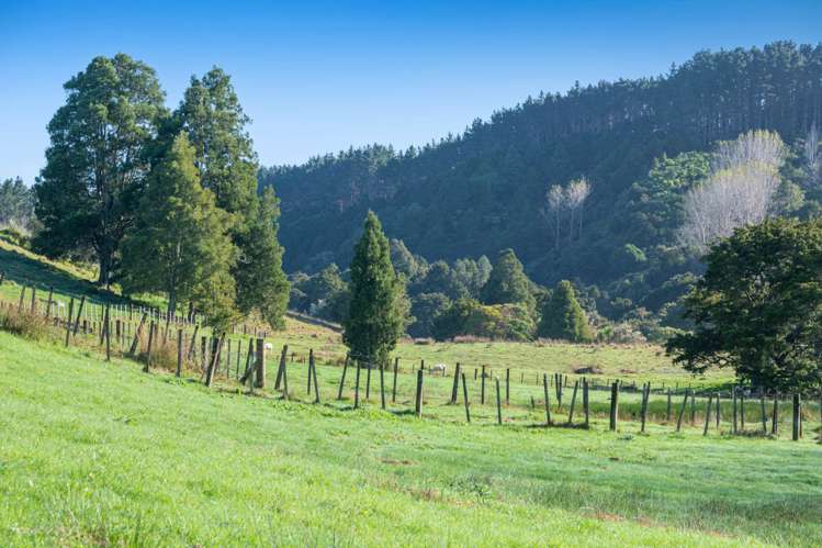 334A Komokoriki Hill Road_2