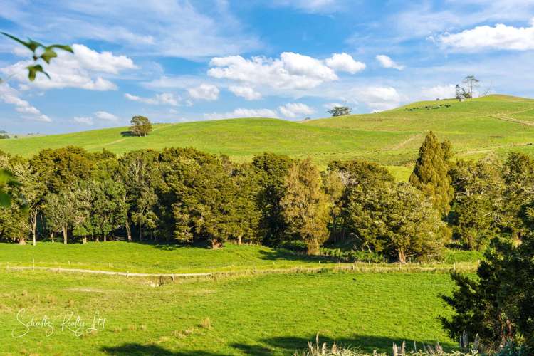 1181 State Highway 12 Maungaturoto_44